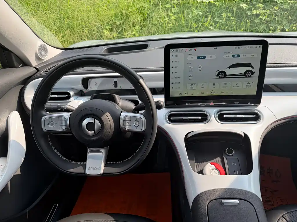 smart Smart #1 — миниатюра 10