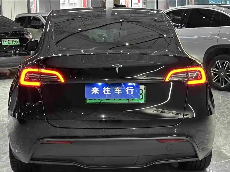 Tesla Model Y — миниатюра 4