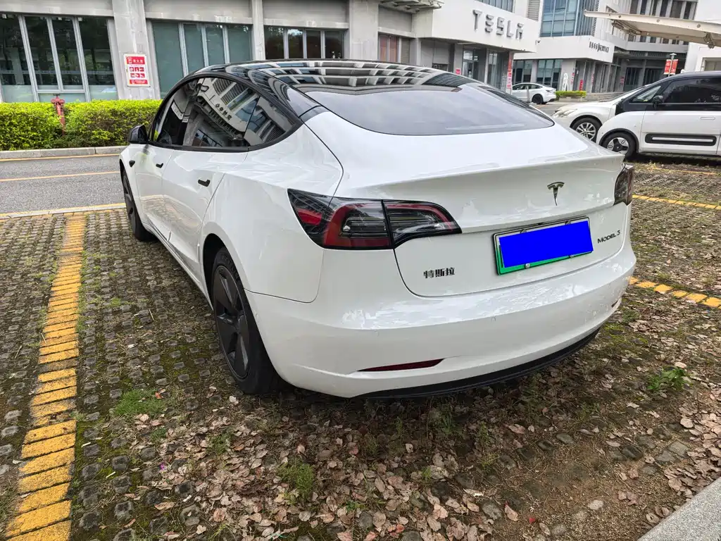 Tesla Model 3 — миниатюра 4