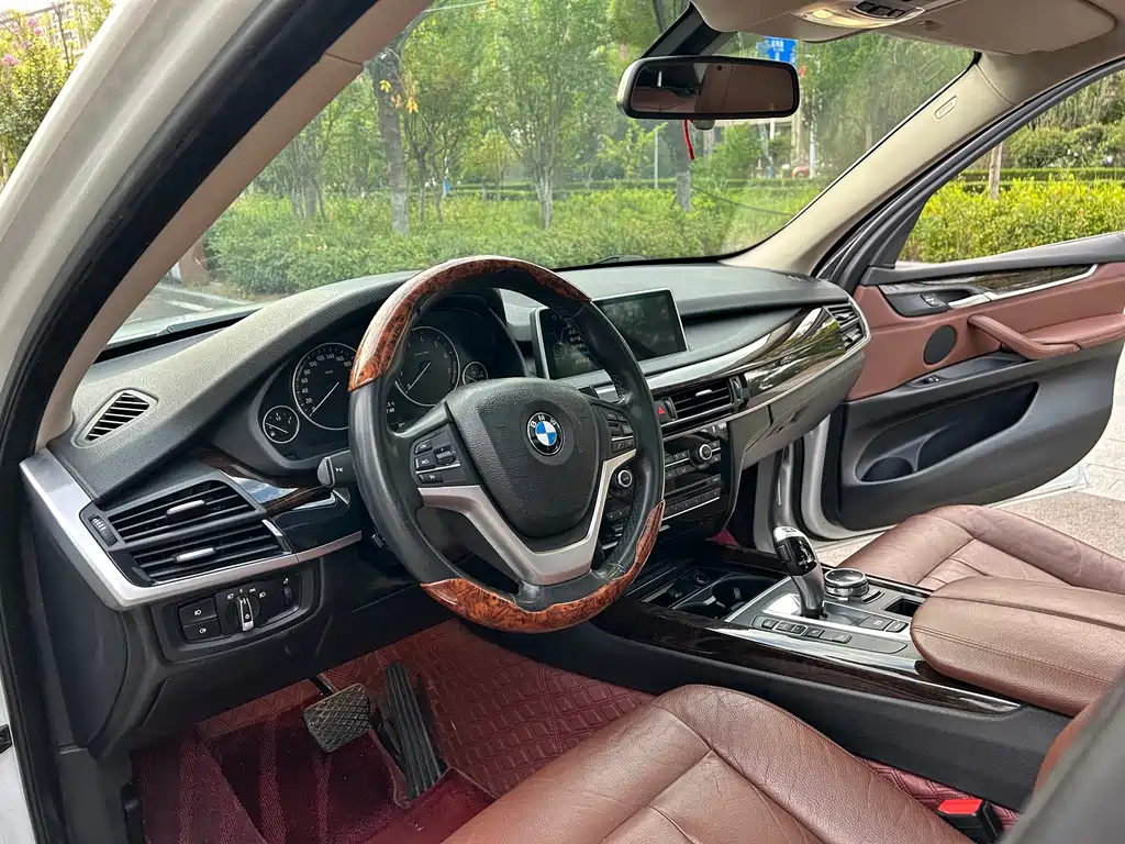BMW X5 (Import) — миниатюра 10
