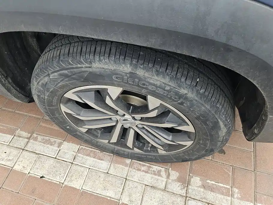 Haval 长城大狗 — миниатюра 6