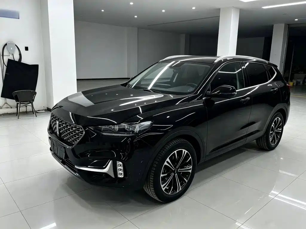 Wey Wey VV6