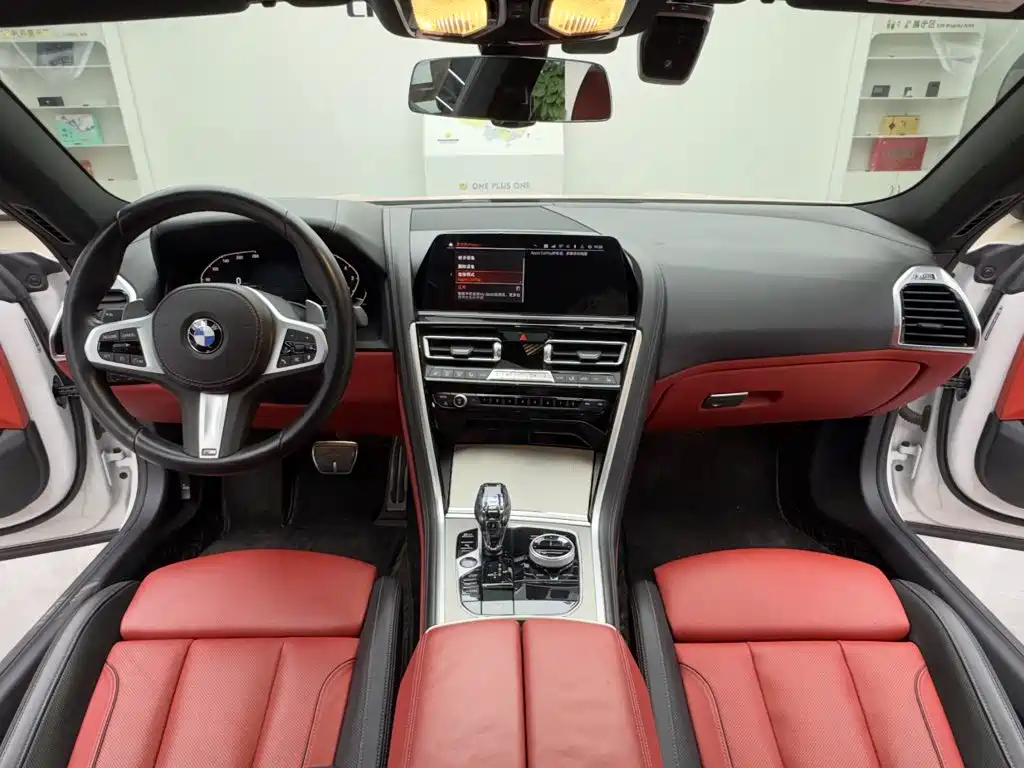 BMW 8 Series — миниатюра 11