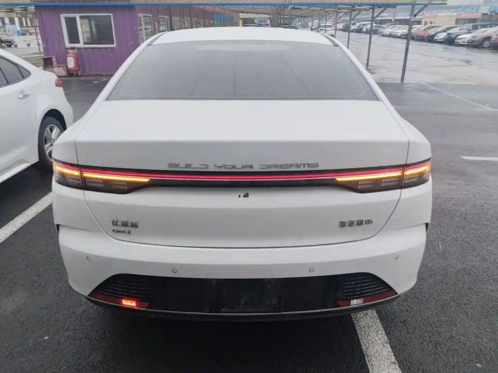BYD Destroyer 05 2024 DM-i 55KM Luxury