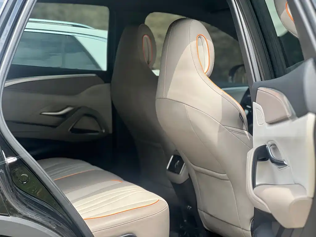 BYD Pro New Energy - фото 11