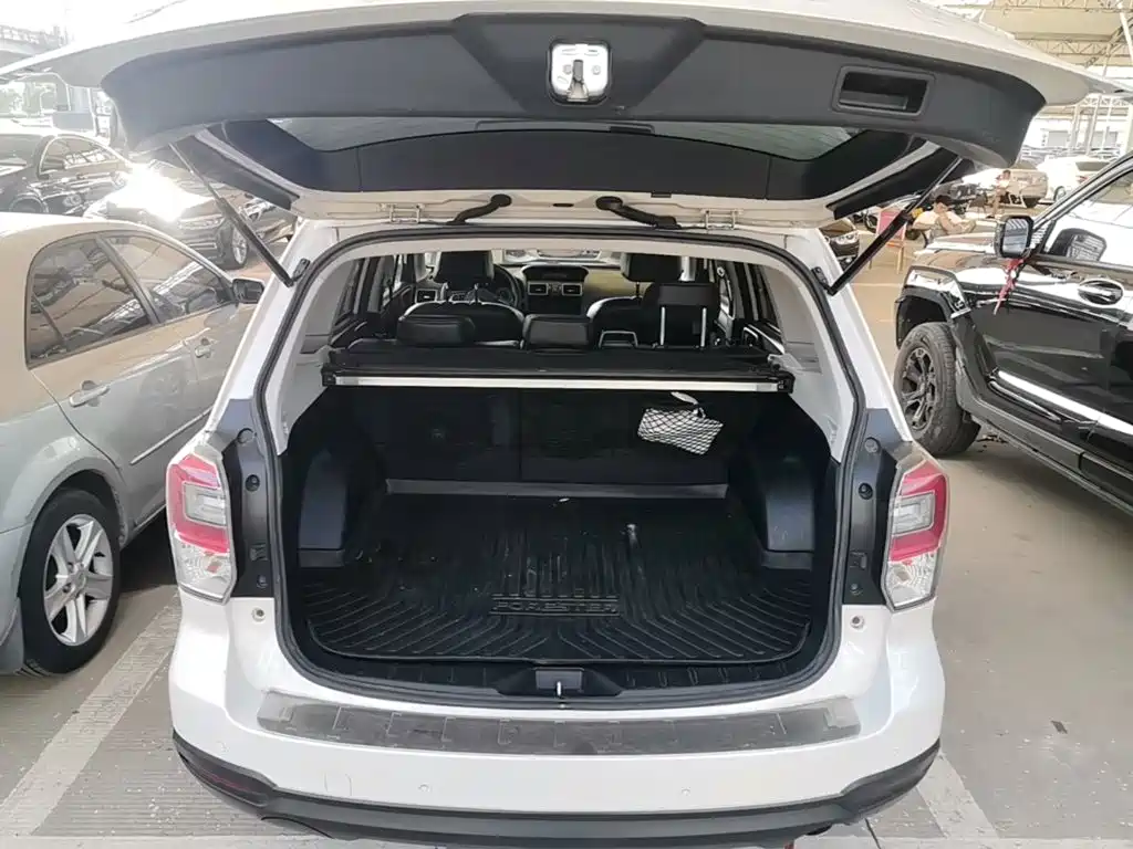 Subaru Forester — миниатюра 19