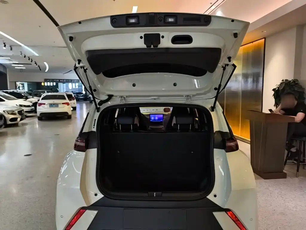 BYD Seagull — миниатюра 19