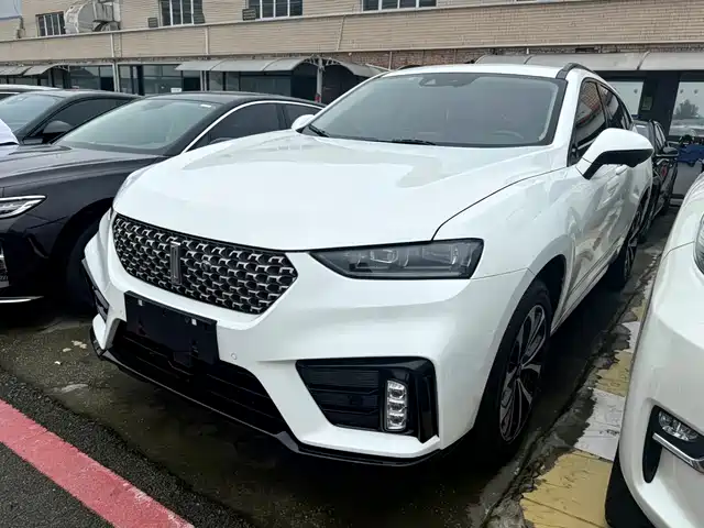 2020 Wey VV7
