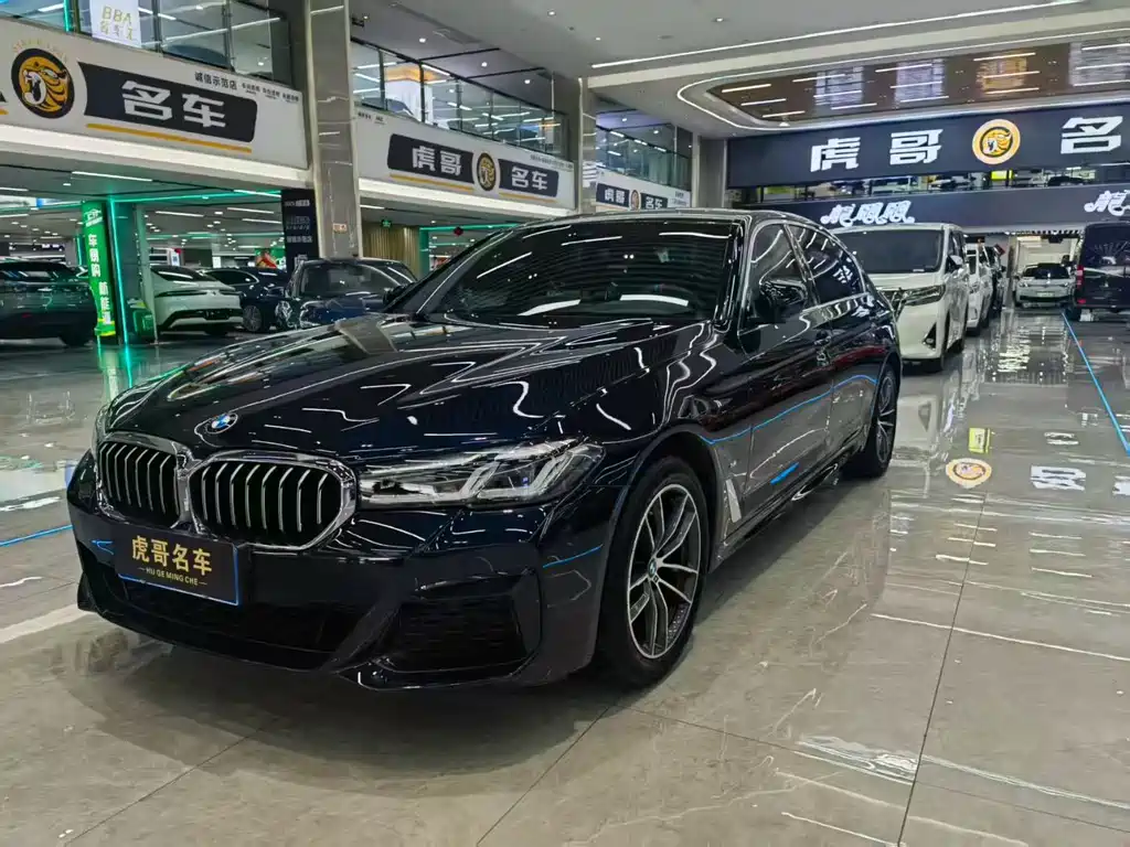 BMW 5 SERIES