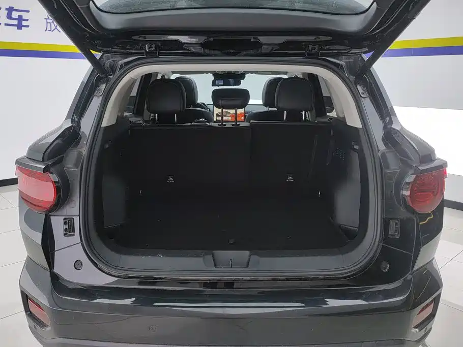 Haval Haval Big Dog PLUS — миниатюра 4