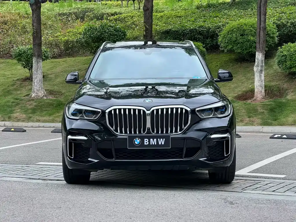 BMW X5 2022 xDrive 30Li Premium M Sport