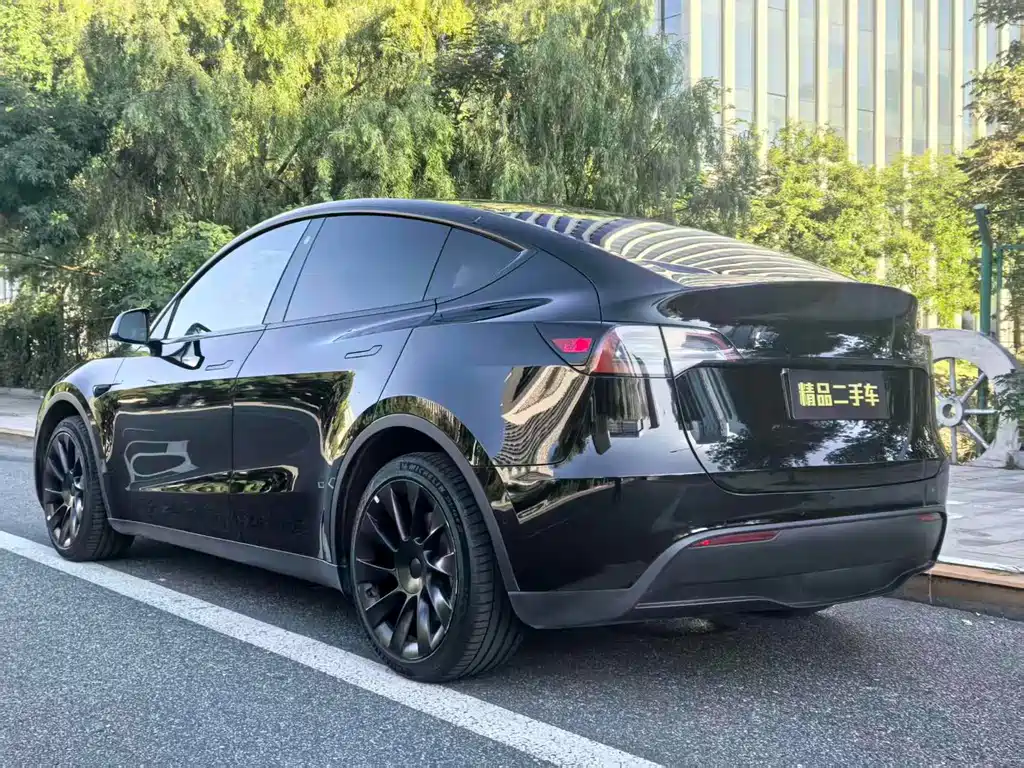 Tesla Model Y — миниатюра 5