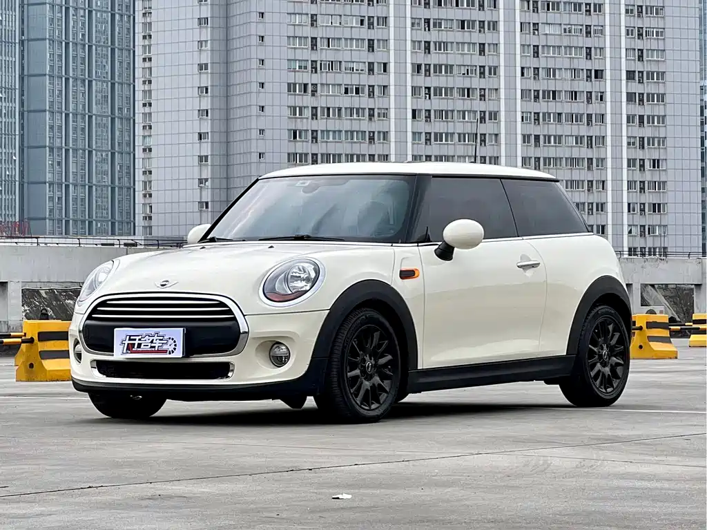 Mini Mini 2018