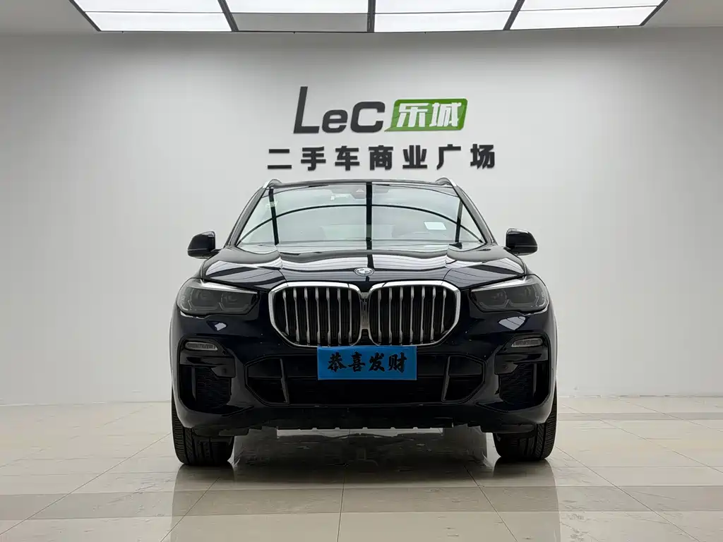BMW X5 (Import) — миниатюра 2