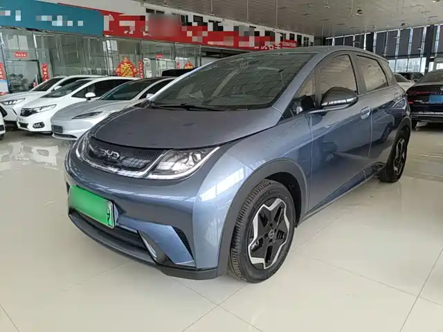 2025 BYD Dolphin