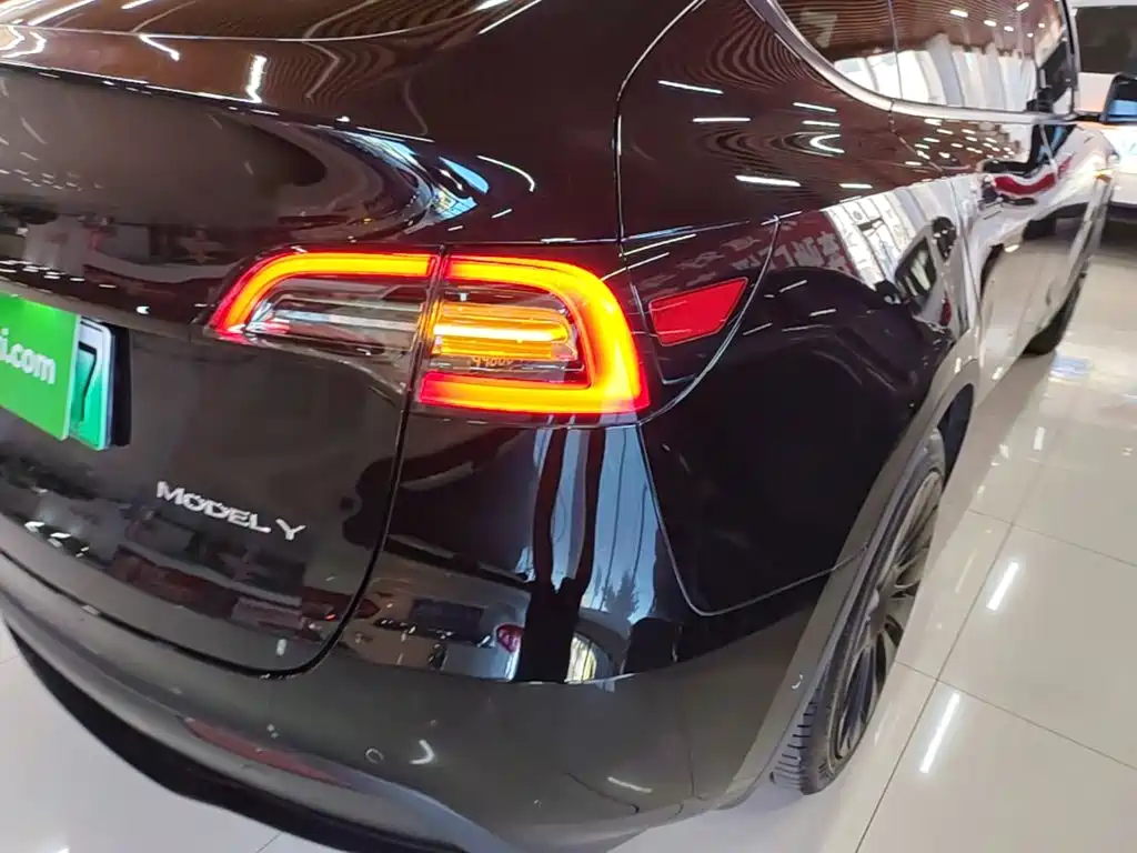 Tesla Model Y — миниатюра 8