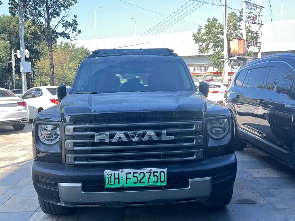 Haval Menglong New Energy — миниатюра 2