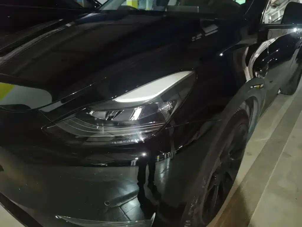 Tesla Model Y — миниатюра 24