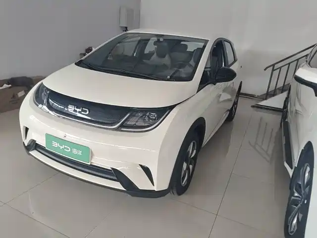 BYD Dolphin