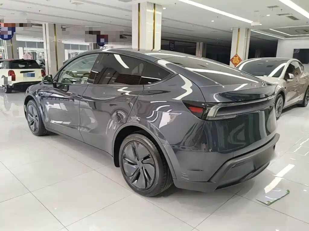 Tesla Model Y — миниатюра 5