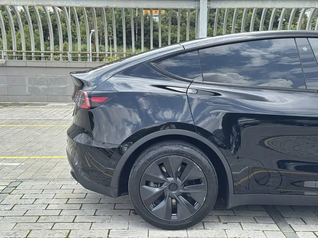 Tesla Model Y — миниатюра 6