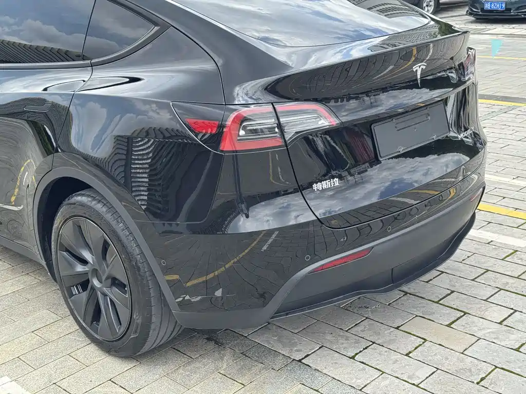 Tesla Model Y — миниатюра 12