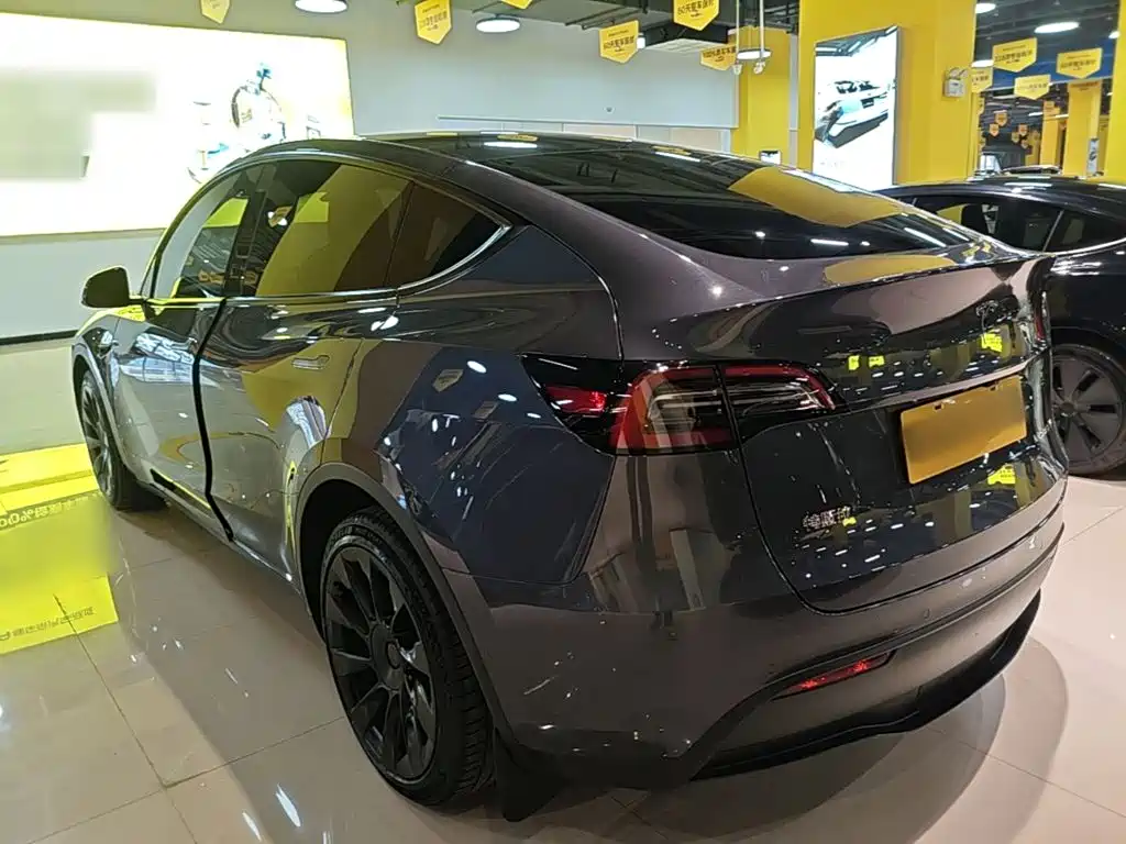 Tesla Model Y — миниатюра 5