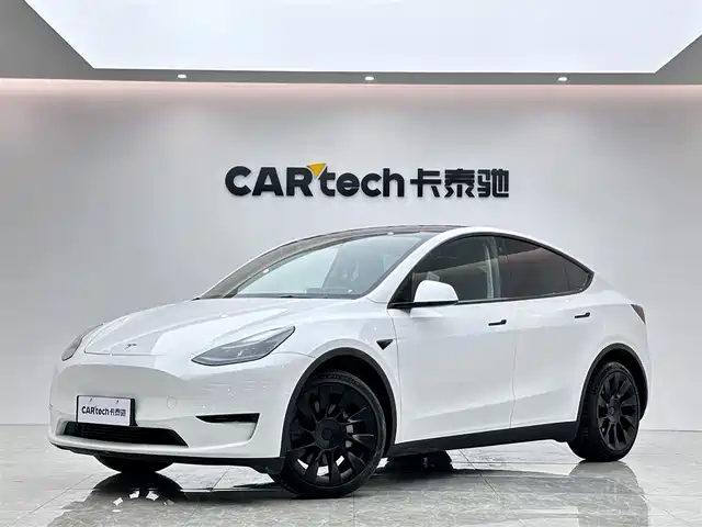 TESLA MODEL Y 2021