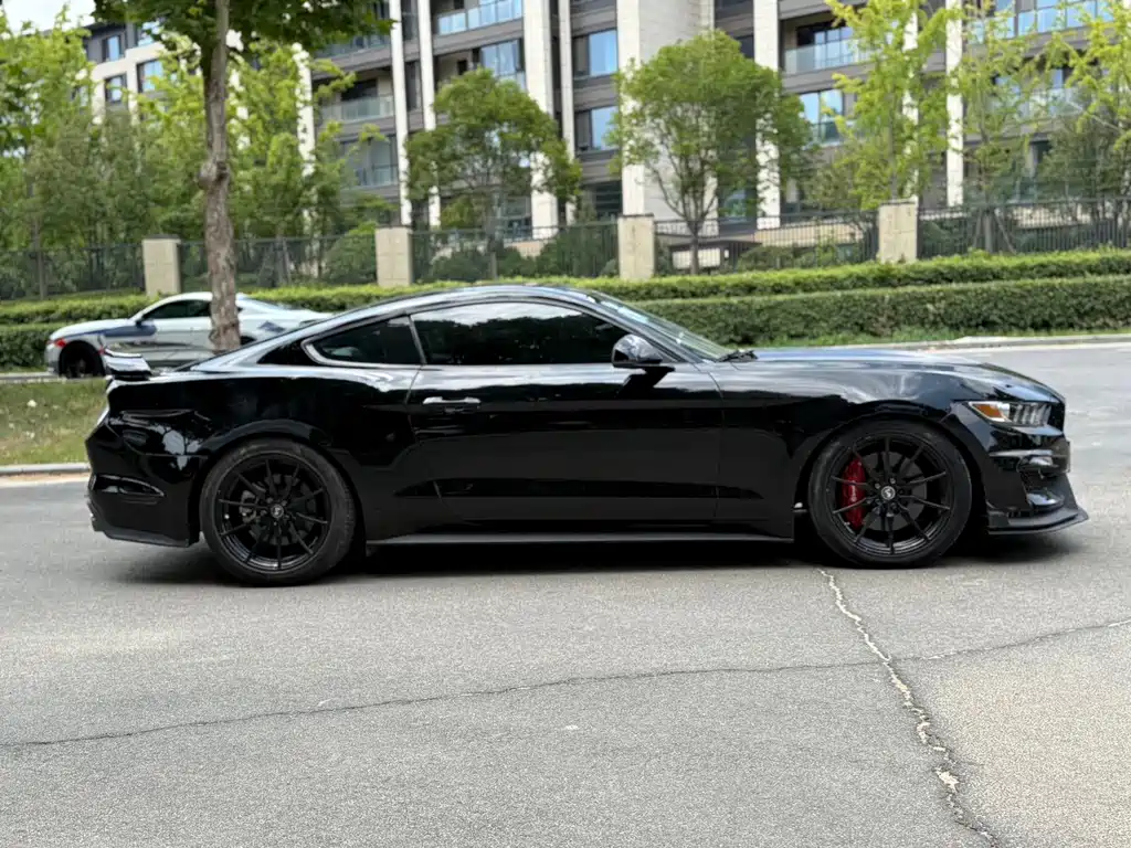 Ford Mustang — миниатюра 4