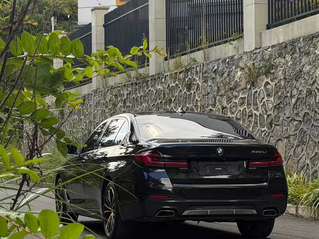 BMW 5 Series — миниатюра 7