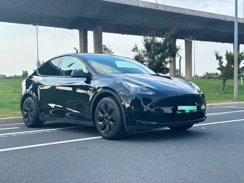 Tesla Model Y — миниатюра 3