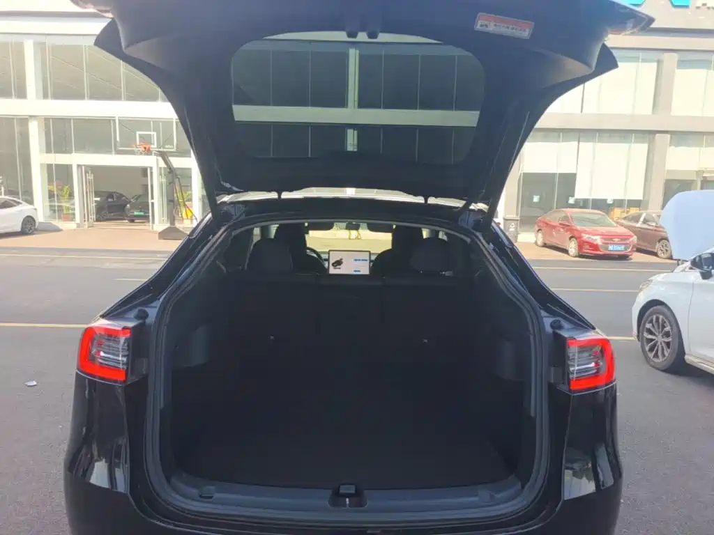 Tesla Model Y — миниатюра 19