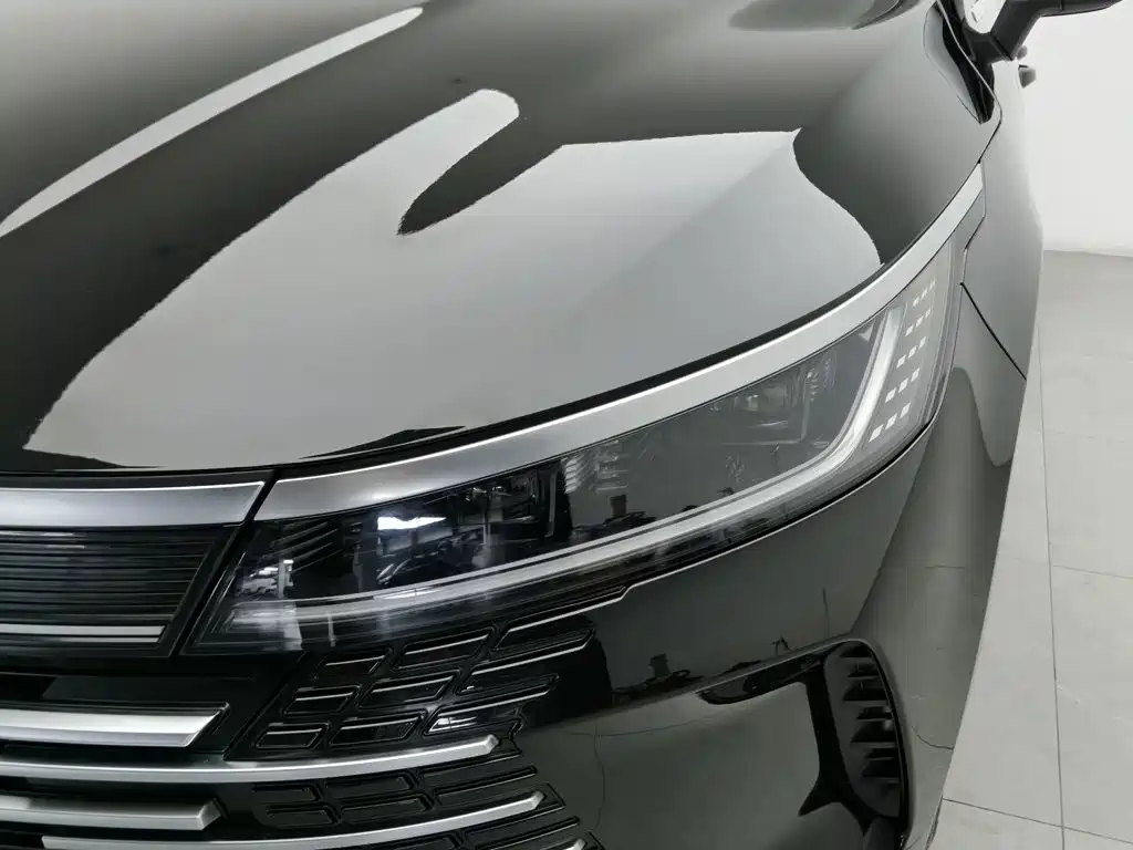 BYD Destroyer 05 — миниатюра 7