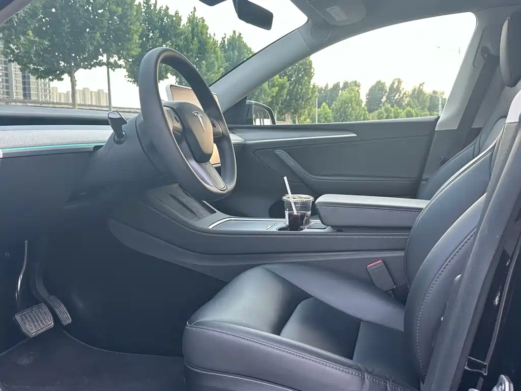 Tesla Model Y — миниатюра 4