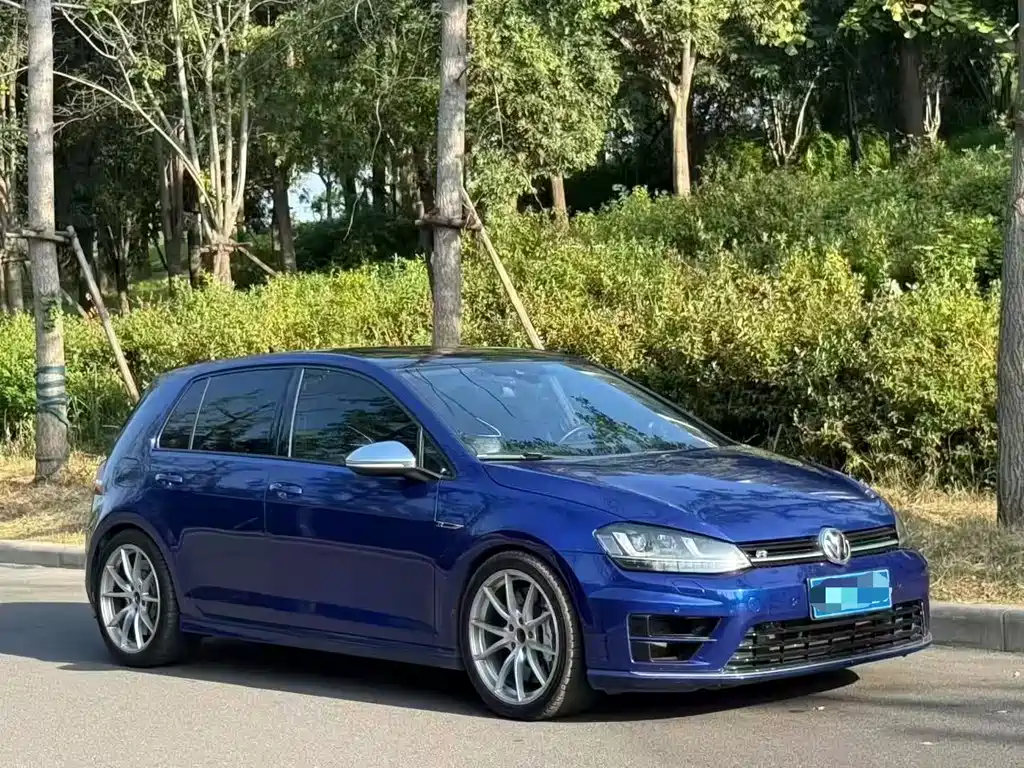 Volkswagen Golf (Import) — миниатюра 3