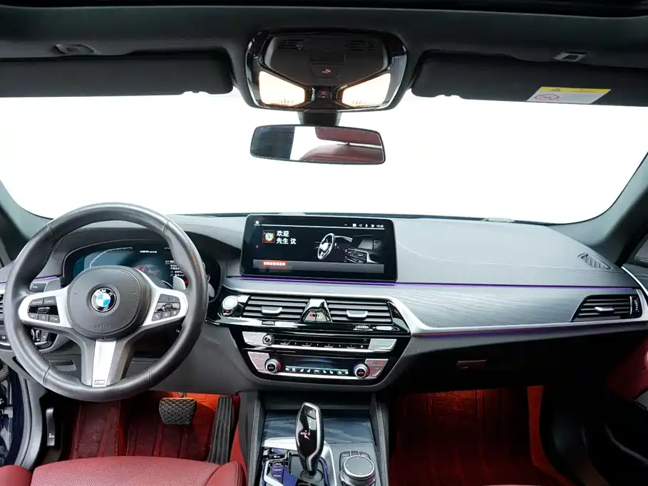 BMW 5 Series 5 2021 530Li Premium M Sport
