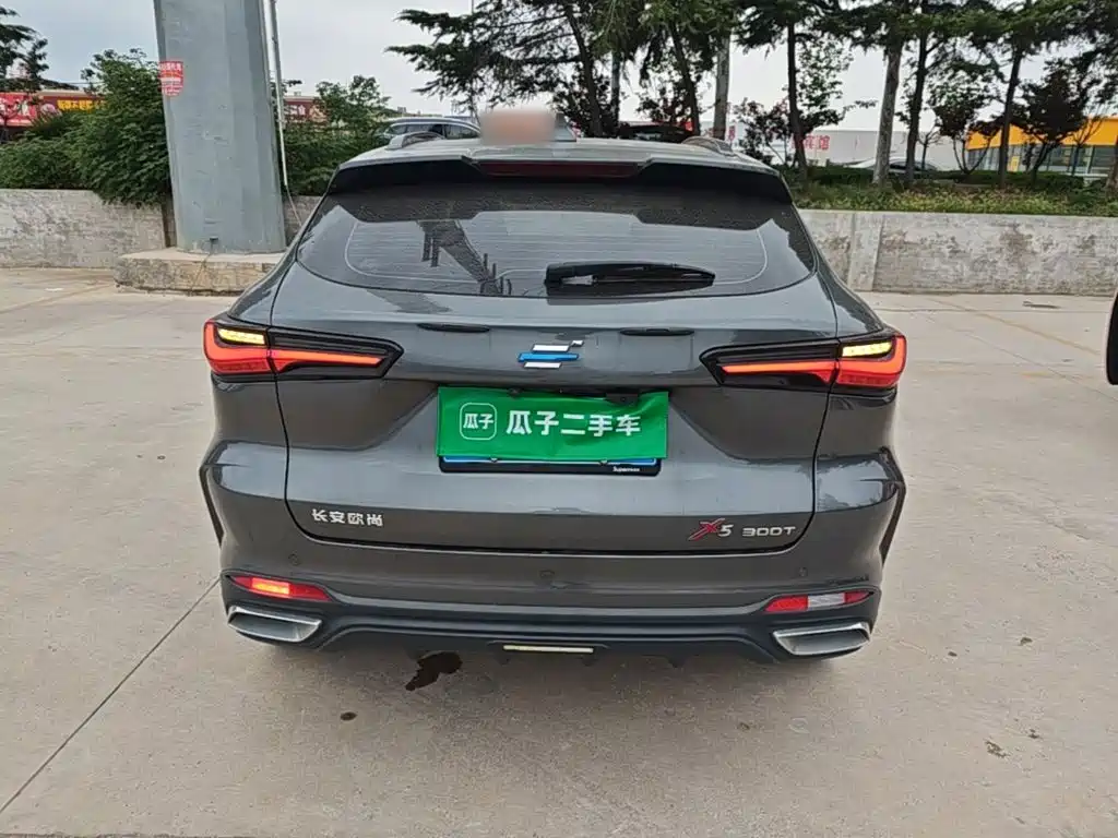 Oshan Oushang X5 — миниатюра 6