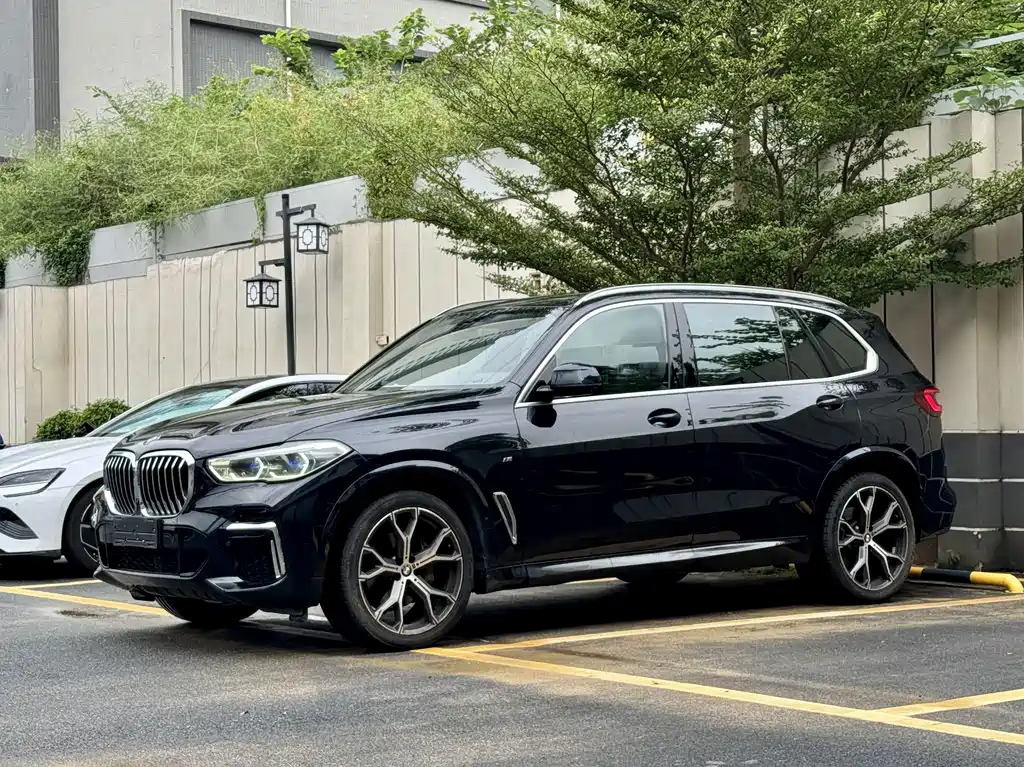 BMW X5 — миниатюра 2