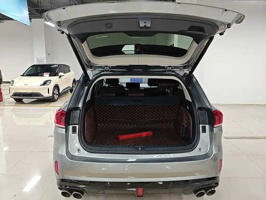 Wey Wey VV6 — миниатюра 19