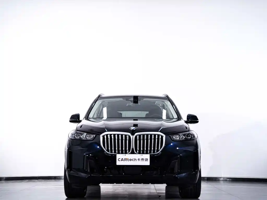 BMW X5 — миниатюра 2