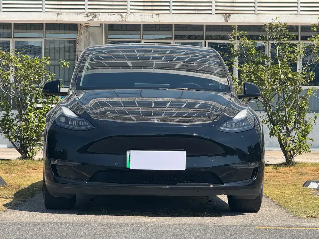 Tesla Model Y — миниатюра 2