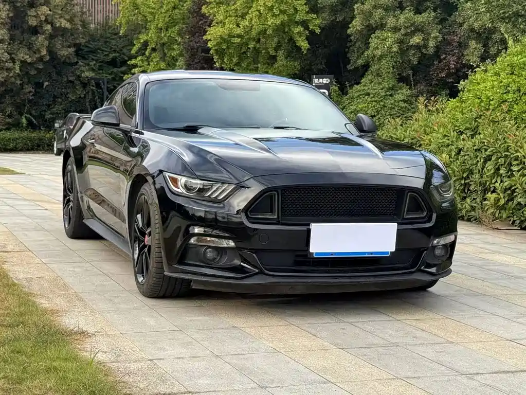 Ford Mustang — миниатюра 3