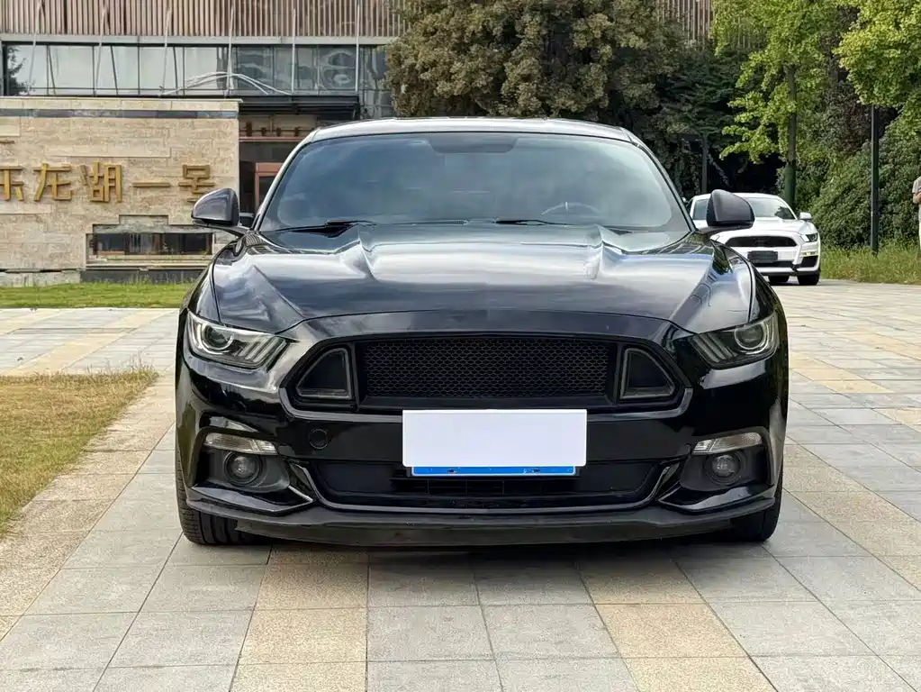 Ford Mustang — миниатюра 2