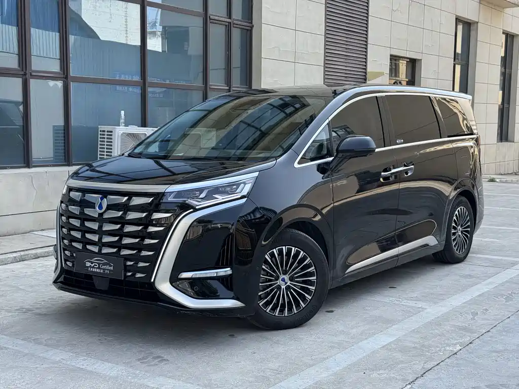 Denza D9