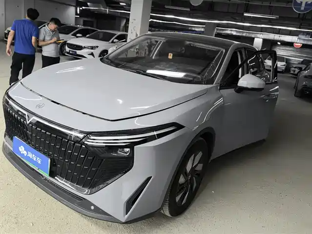 QICHEN  BIG V DD I 2024