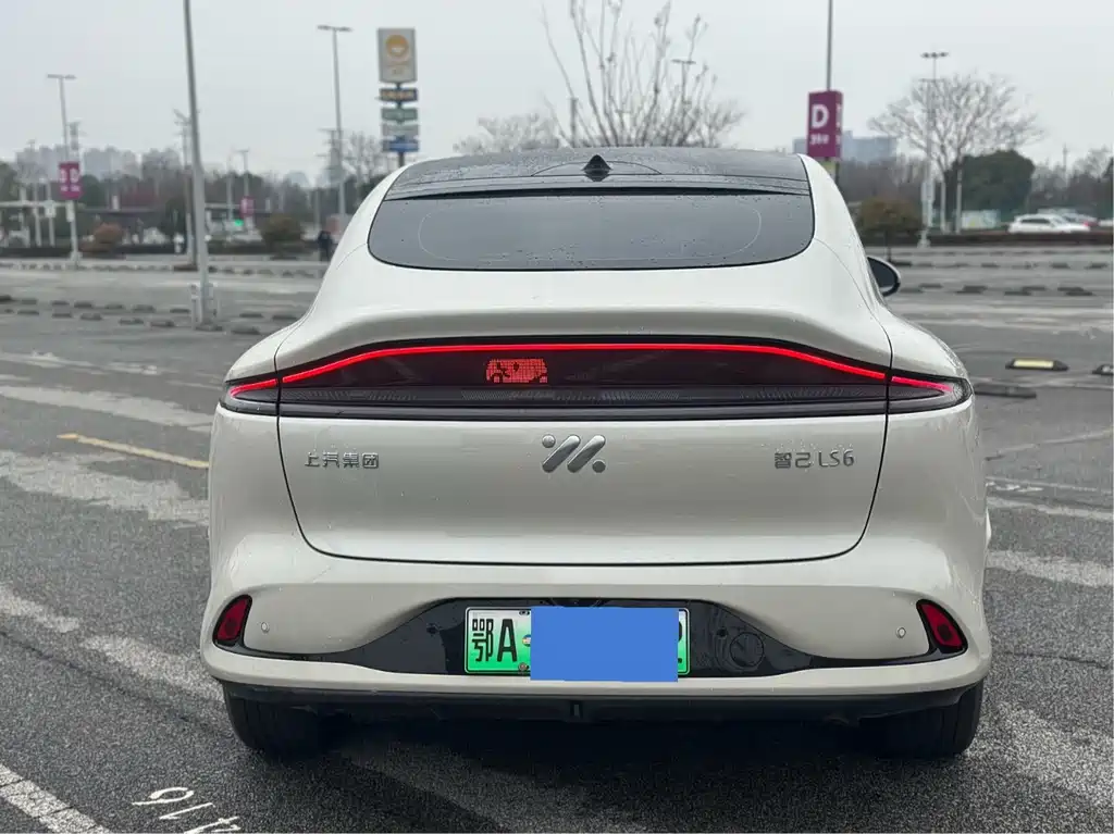 ZHIJI AUTOMOBILE ZHIJI LS6