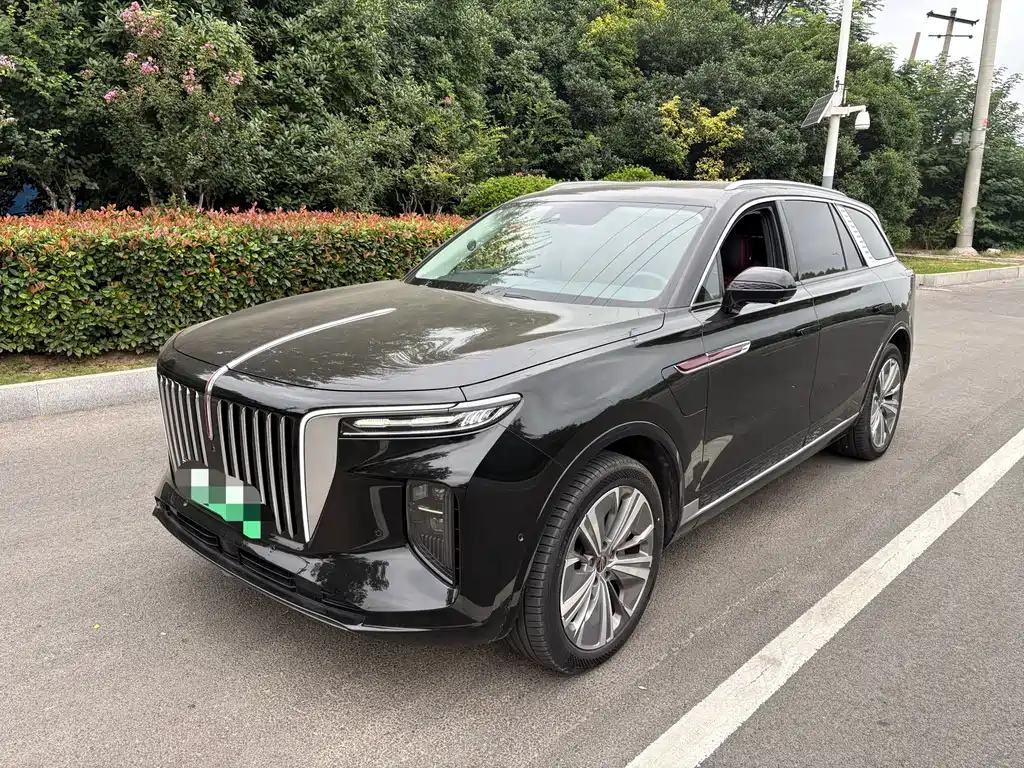 Hongqi Hongqi E-HS9