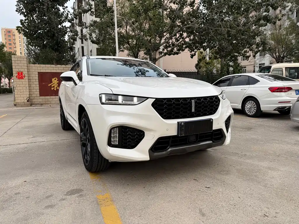 WEI PAI WEI BRAND VV7