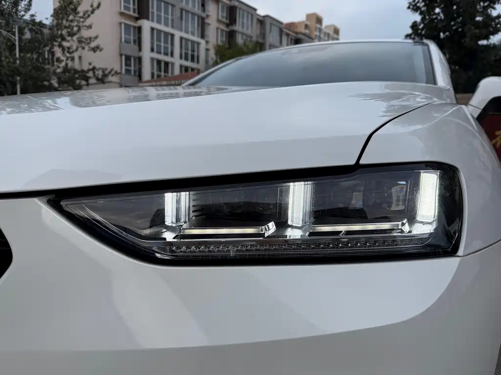 WEI PAI WEI BRAND VV7