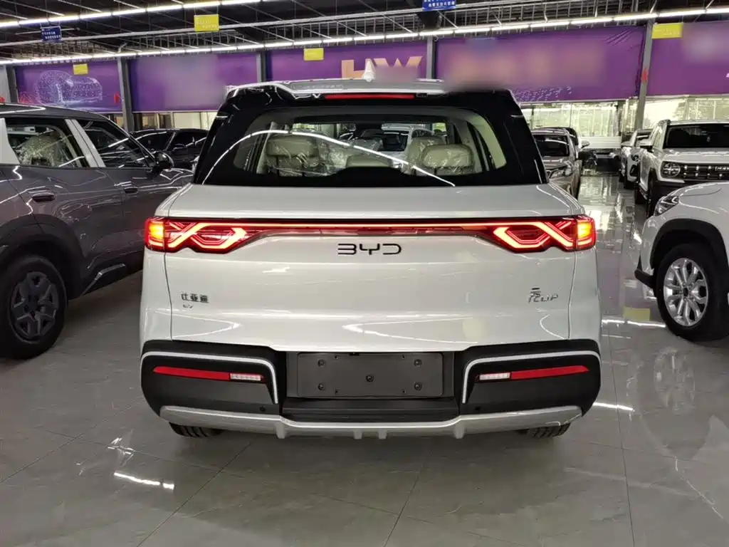BYD Yuan Up UP 2025 301KM